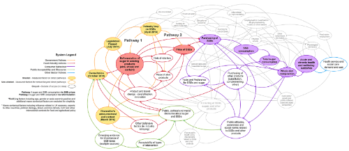 Systems map 